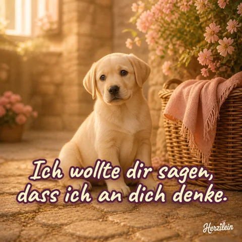 Liebe-Grüße-Bild: Labradorwelpe in einer gepflasterten Gasse neben einem Korb mit rosa Leinen, mit dem Gruß „Ich wollte dir sagen, dass ich an dich denke“